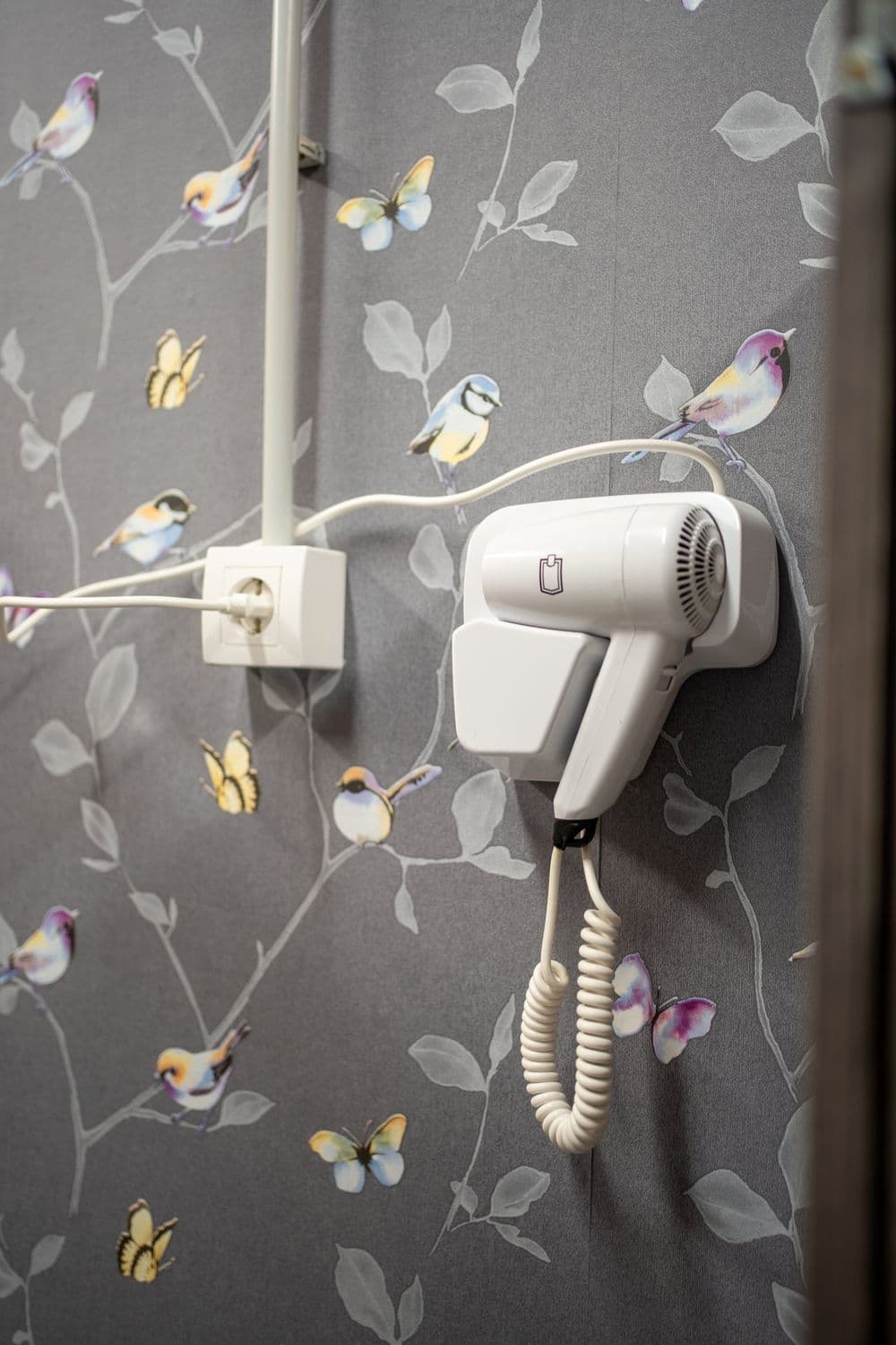 Dekorativni zid u Aura teretani